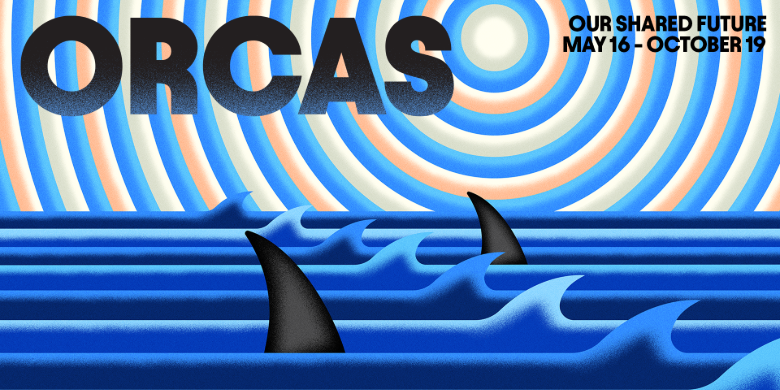 We Want You to Experience Orcas: Our Shared Future